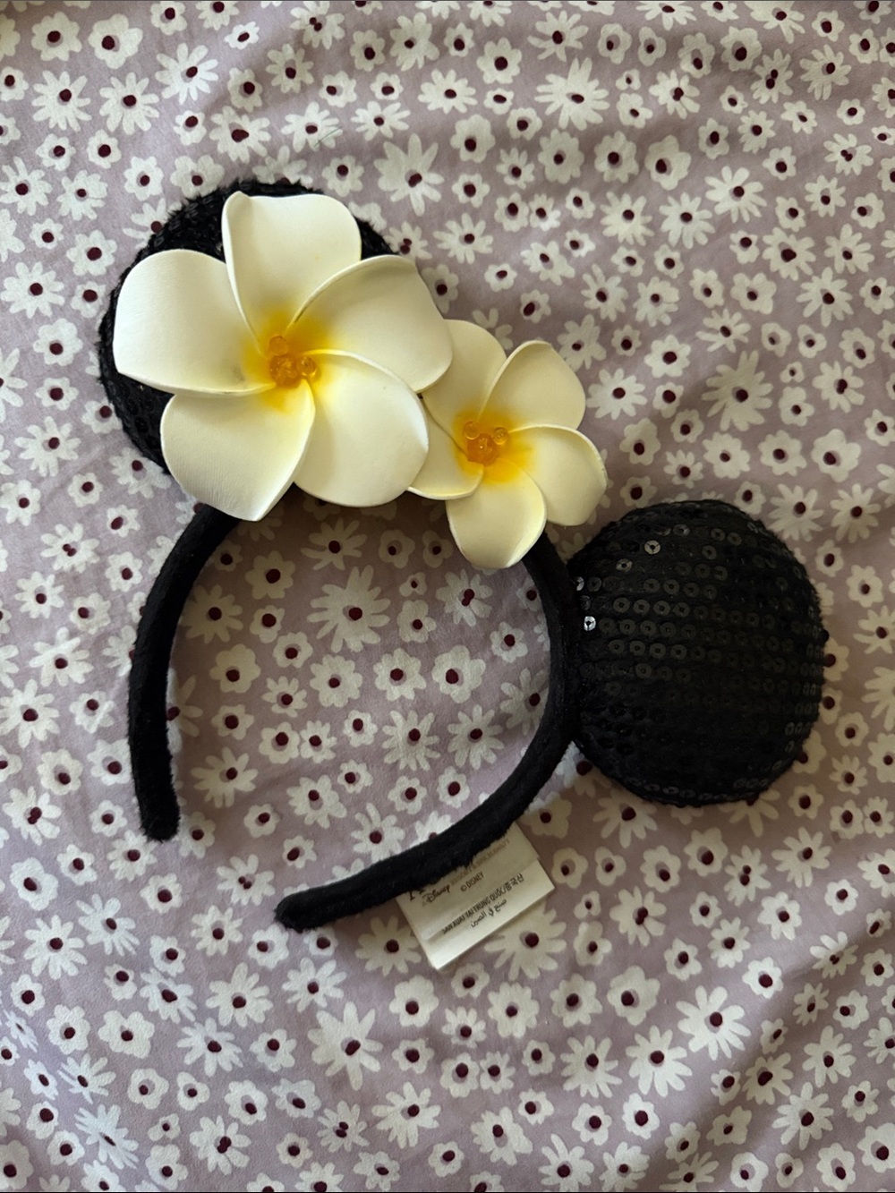 Aulani Mickey ears